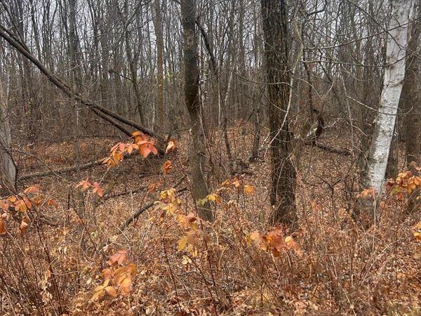 TBDxxx Golf Course Dr, Cushing, MN 56443