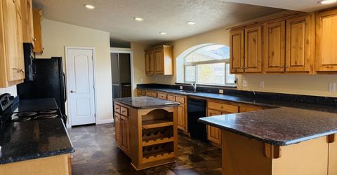 40 Kunkel Lane, Orovada, NV 89425 Photo
