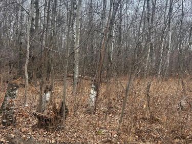 TBDxxxx Golf Course Dr, Cushing, MN 56443