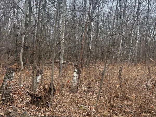 TBDxxxx Golf Course Dr, Cushing, MN 56443