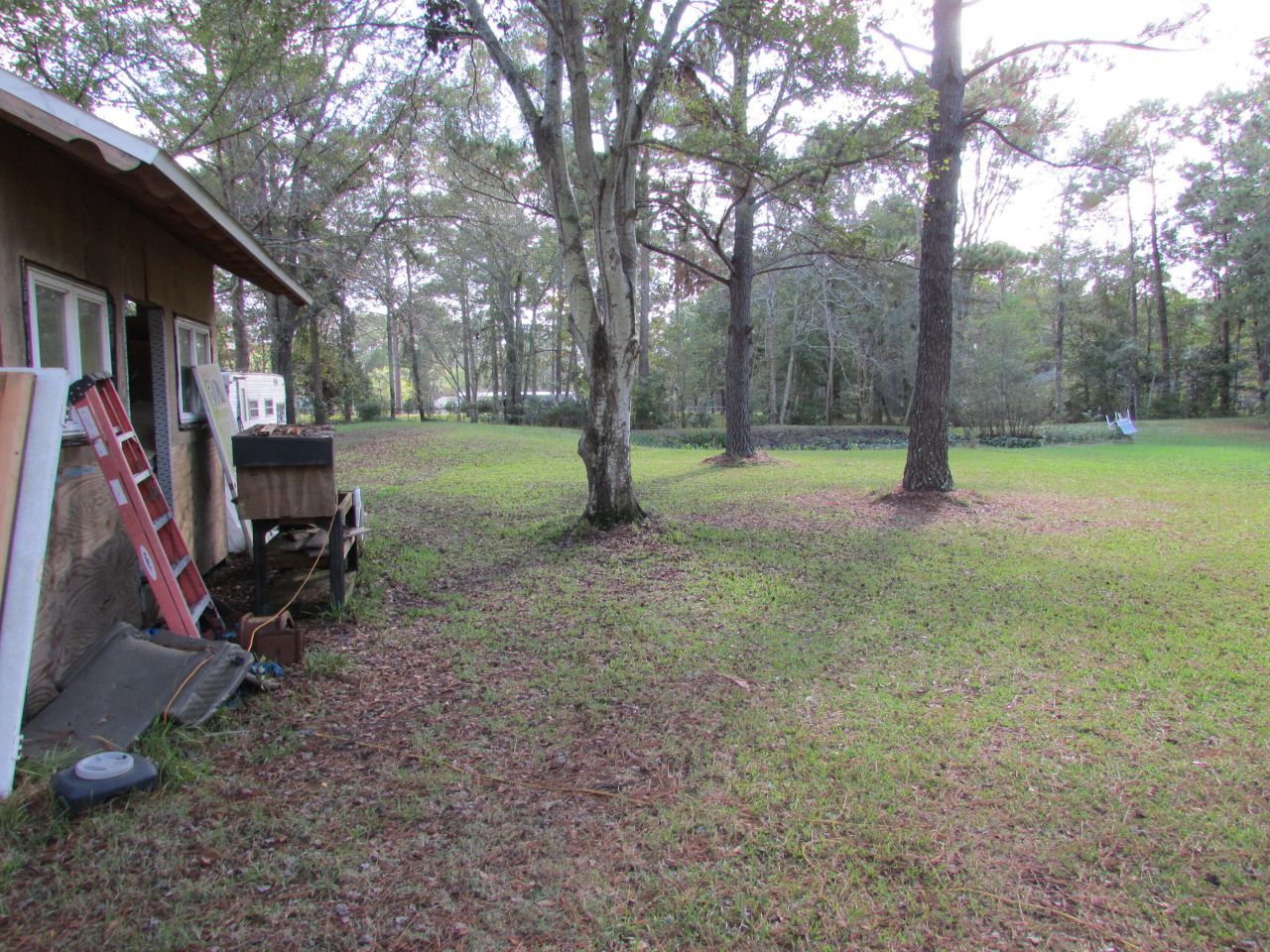 113 E Steele Drive Photo 13