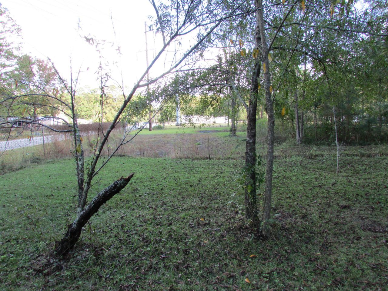 113 E Steele Drive Photo 5