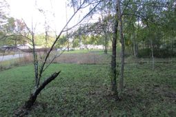 113 E Steele Drive photo 4