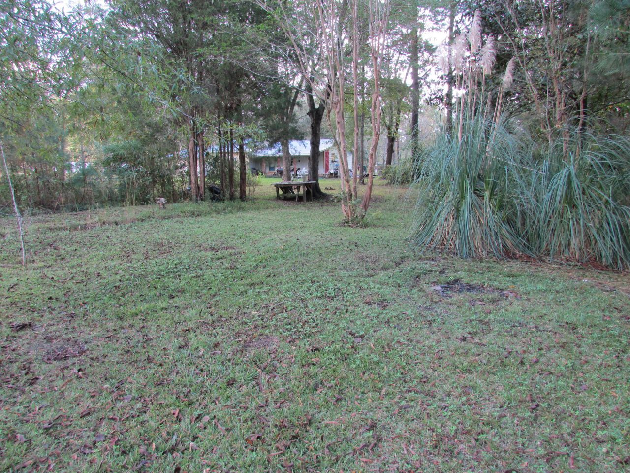 113 E Steele Drive Photo 6