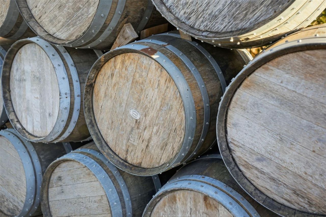 21509 Snow Hill Road, Brooksville, FL 34601 Photo