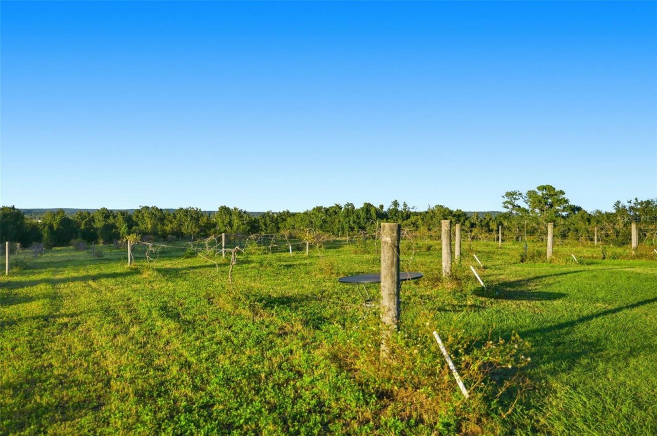 21509 Snow Hill Road, Brooksville, FL 34601 Photo