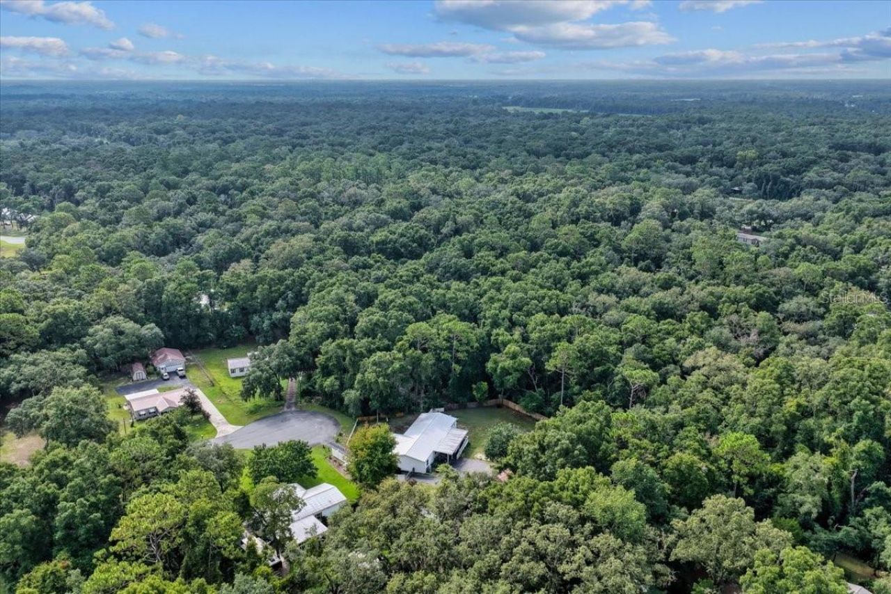 17130 NW 83rd Court, Fanning Springs, FL 32693 Photo