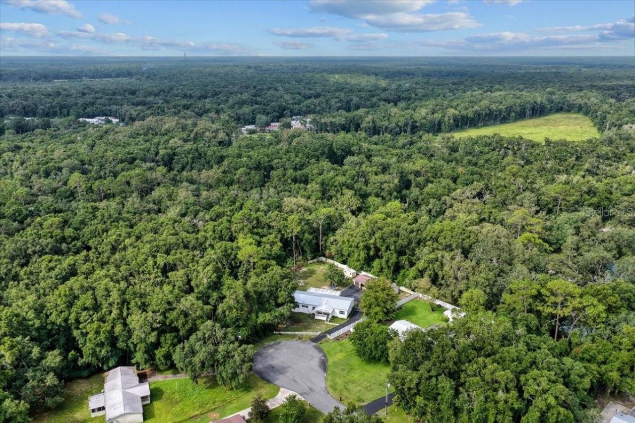 17130 NW 83rd Court, Fanning Springs, FL 32693 Photo