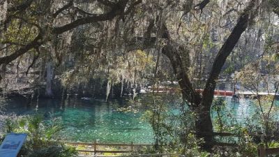17130 NW 83rd Court, Fanning Springs, FL 32693 Photo