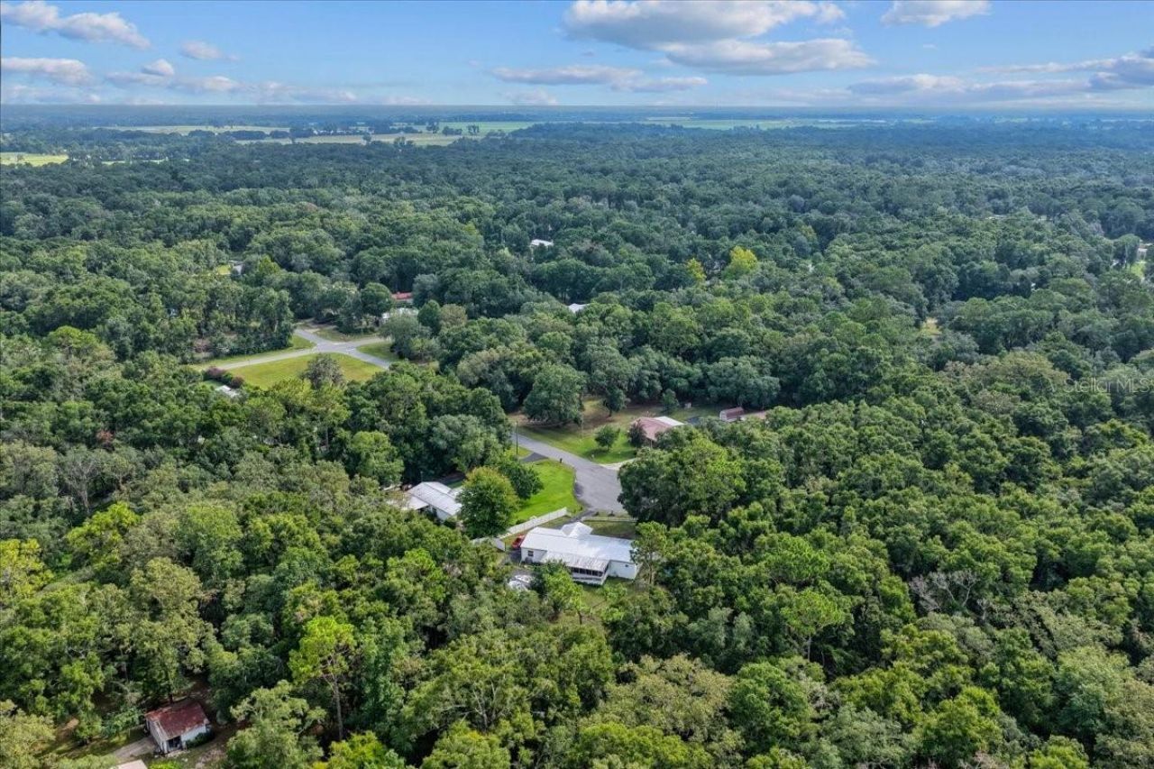 17130 NW 83rd Court, Fanning Springs, FL 32693 Photo