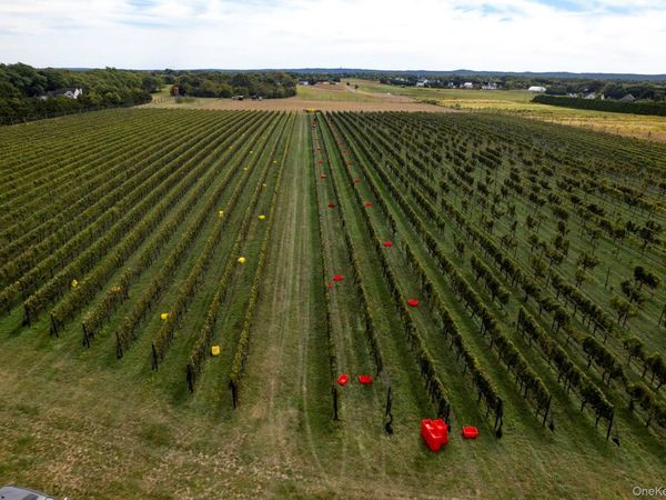 156 Youngs Avenue, Calverton, NY 11933