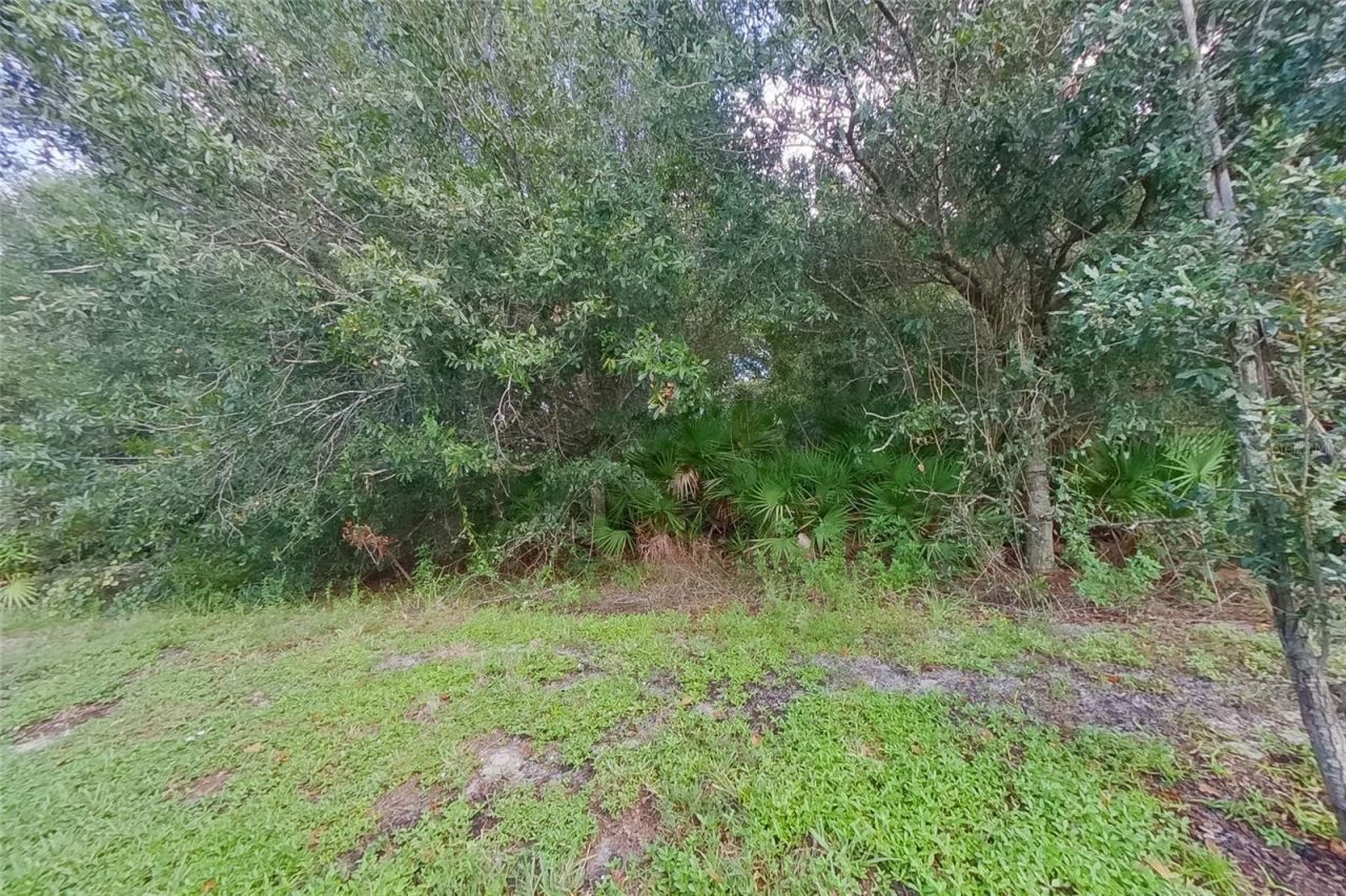 9143 Aegean Circle, Lehigh Acres, FL 33936 Photo