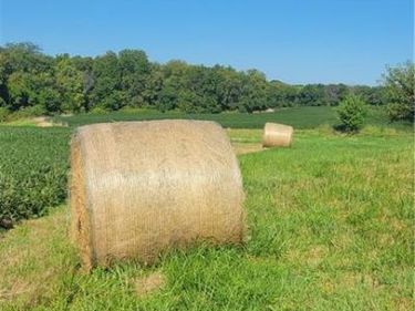 3431 Old Stage Road, Mayview, MO 64071