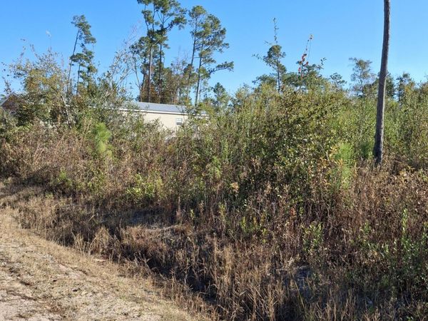 12036 Magnolia Street, Fountain, FL 32438