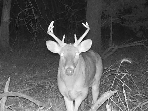 E 140th Road , Miami, OK 74354