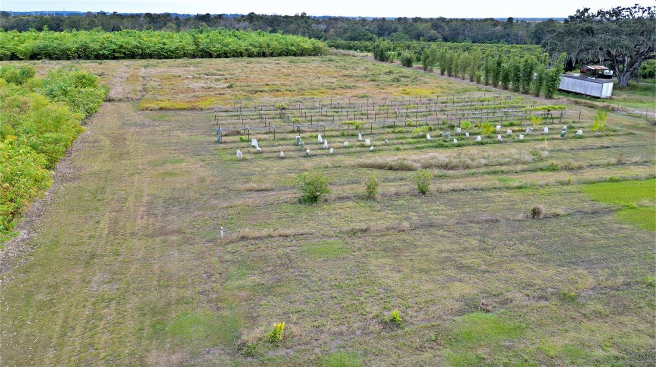 1015 Mount Pisgah Road, Fort Meade, FL 33841 Photo