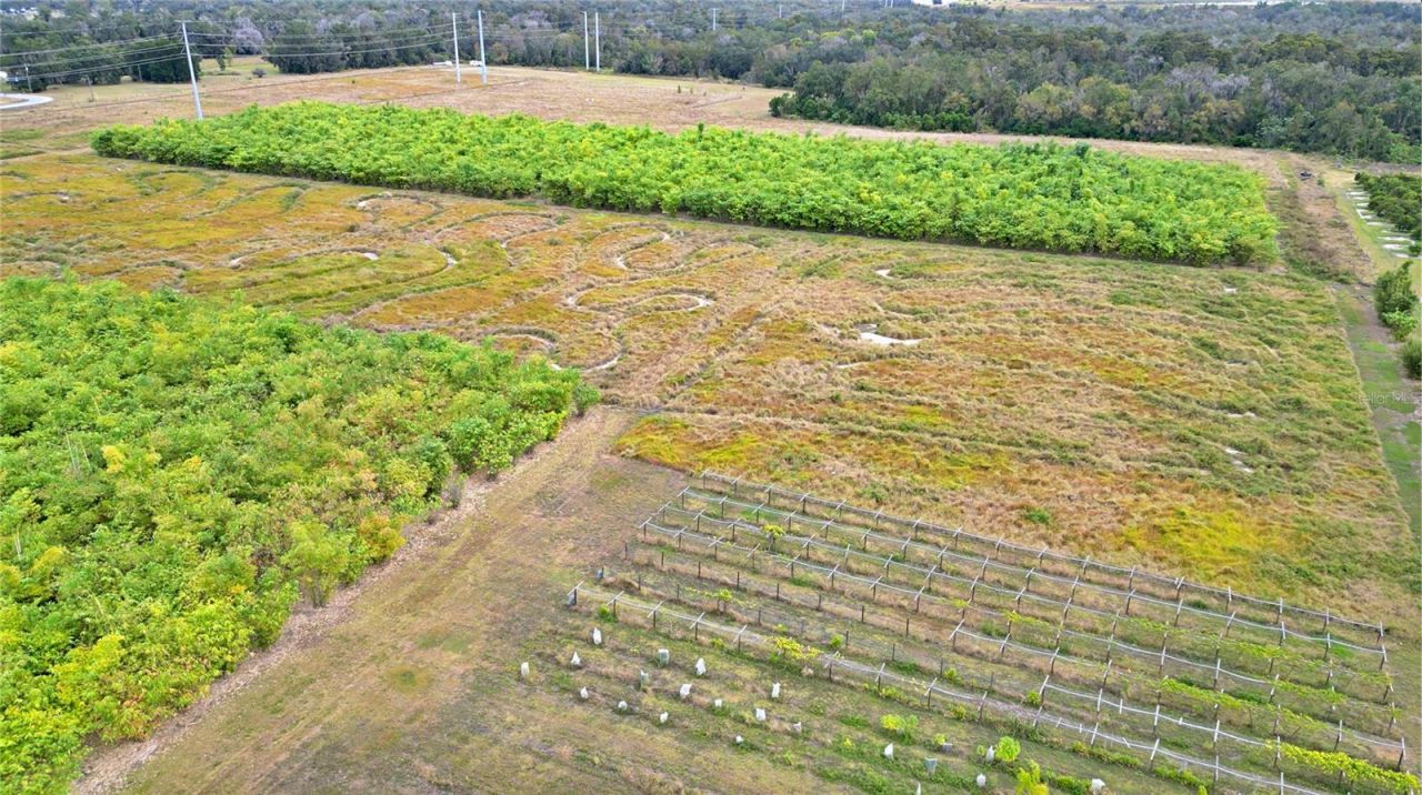 1015 Mount Pisgah Road, Fort Meade, FL 33841 Photo