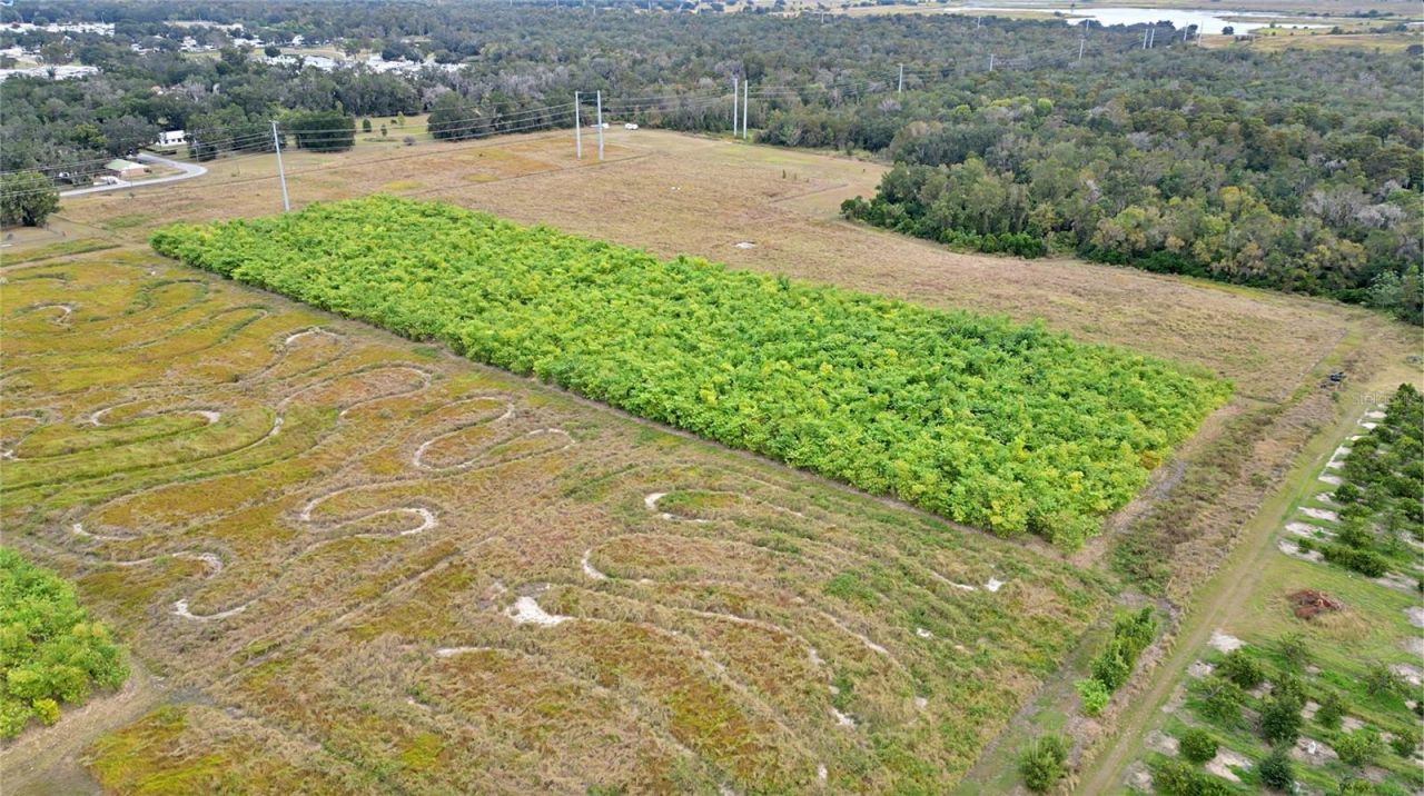 1015 Mount Pisgah Road, Fort Meade, FL 33841 Photo