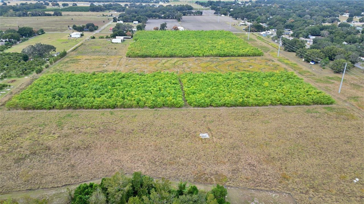 1015 Mount Pisgah Road, Fort Meade, FL 33841 Photo