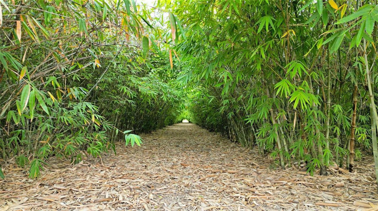 1015 Mount Pisgah Road, Fort Meade, FL 33841 Photo