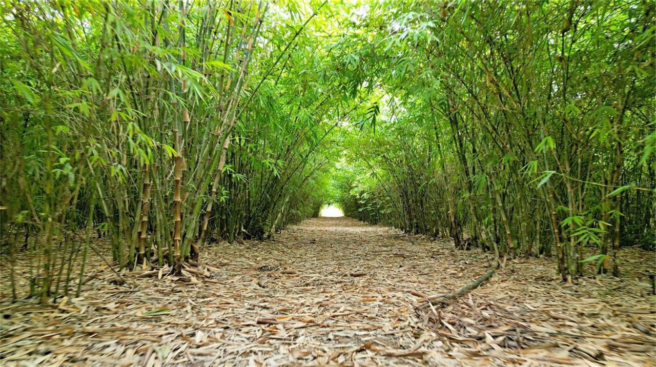 1015 Mount Pisgah Road, Fort Meade, FL 33841 Photo