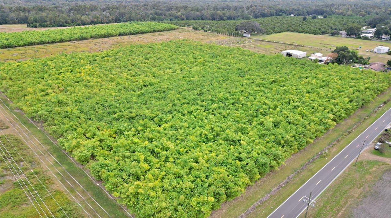 1015 Mount Pisgah Road, Fort Meade, FL 33841 Photo