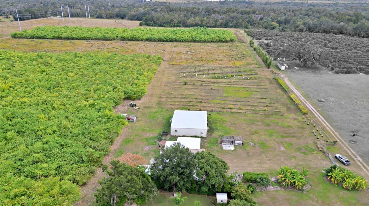 1015 Mount Pisgah Road, Fort Meade, FL 33841 Photo