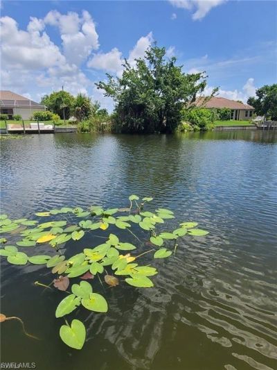 2207 NE 1st Ter, Cape Coral, FL 33909 Photo