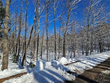 Long Pond Road, Croghan, NY 13327