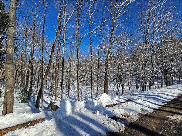 Long Pond Road, Croghan, NY 13327