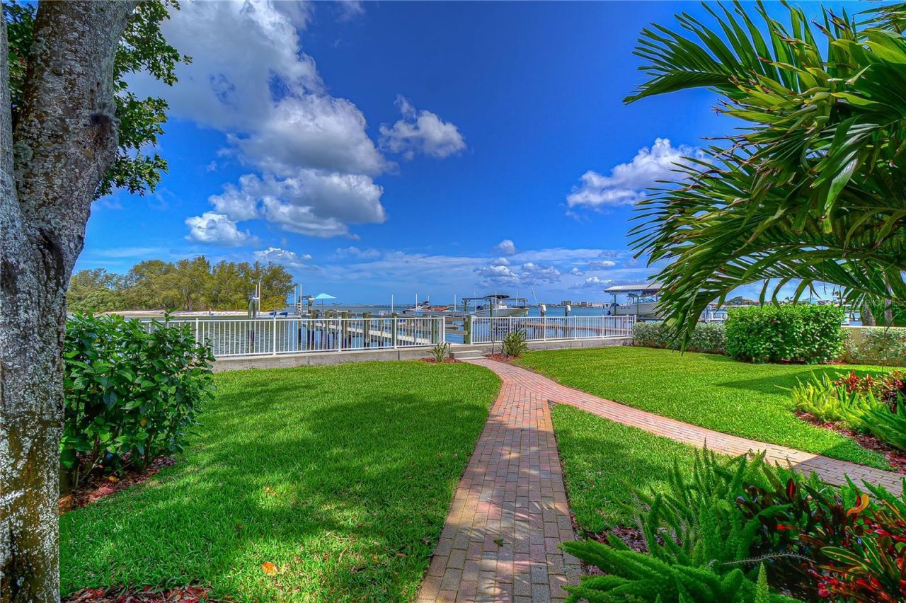 115 Buena Vista Drive S, Dunedin, FL 34698 Photo