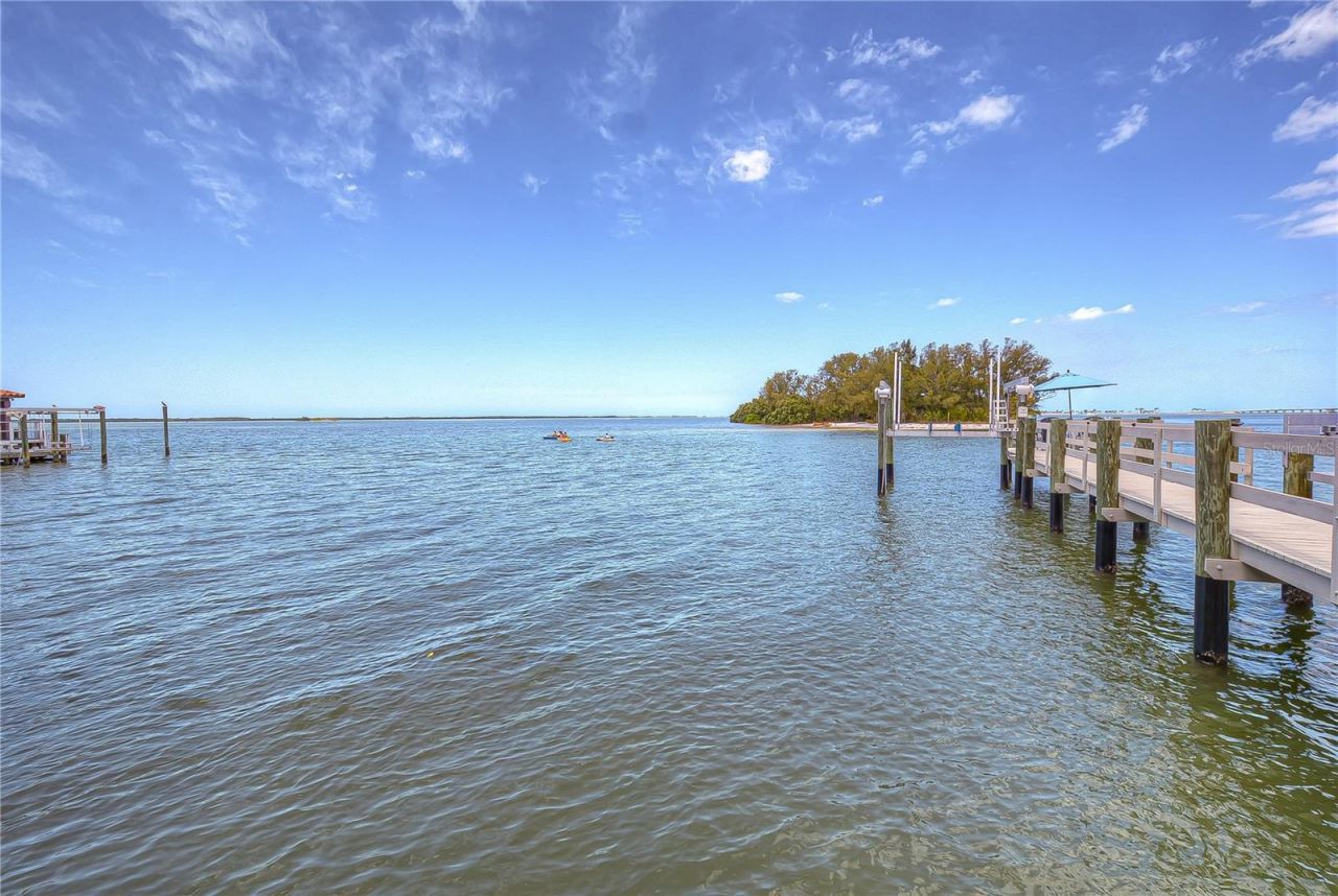 115 Buena Vista Drive S, Dunedin, FL 34698 Photo