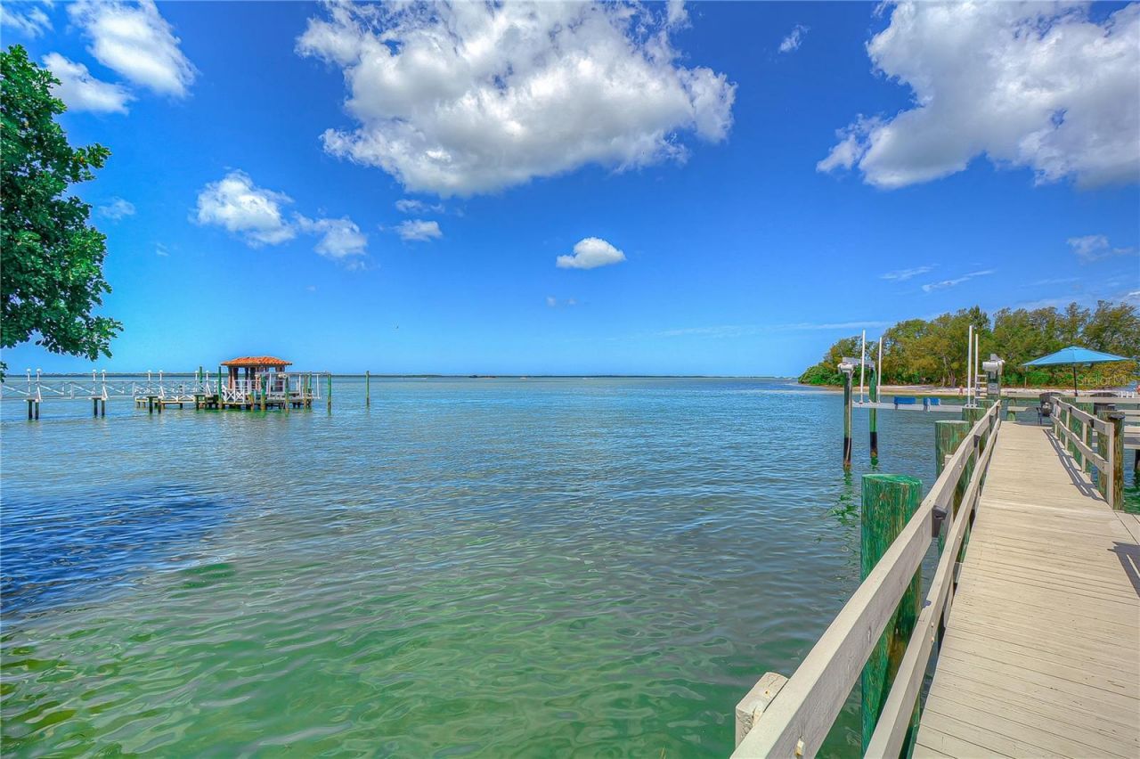 115 Buena Vista Drive S, Dunedin, FL 34698 Photo