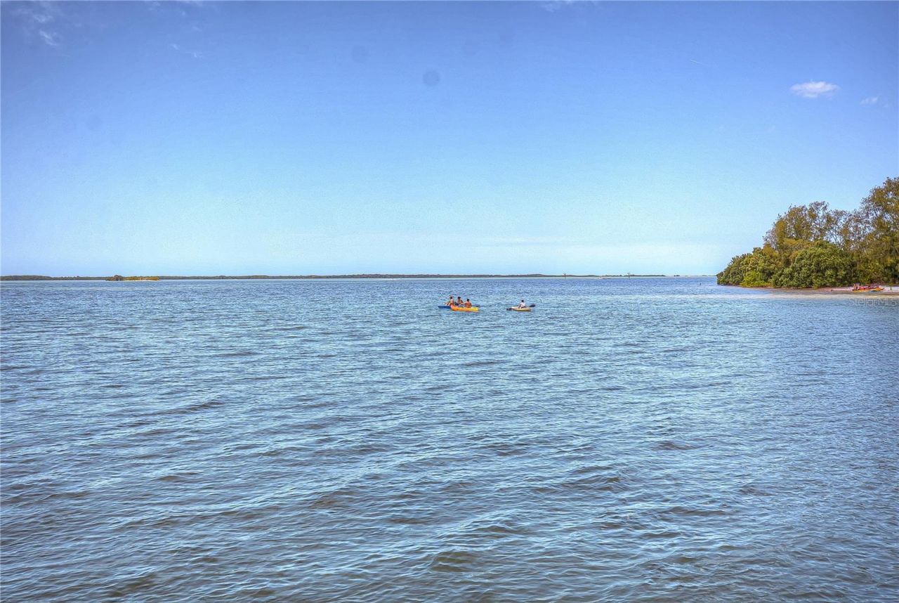 115 Buena Vista Drive S, Dunedin, FL 34698 Photo