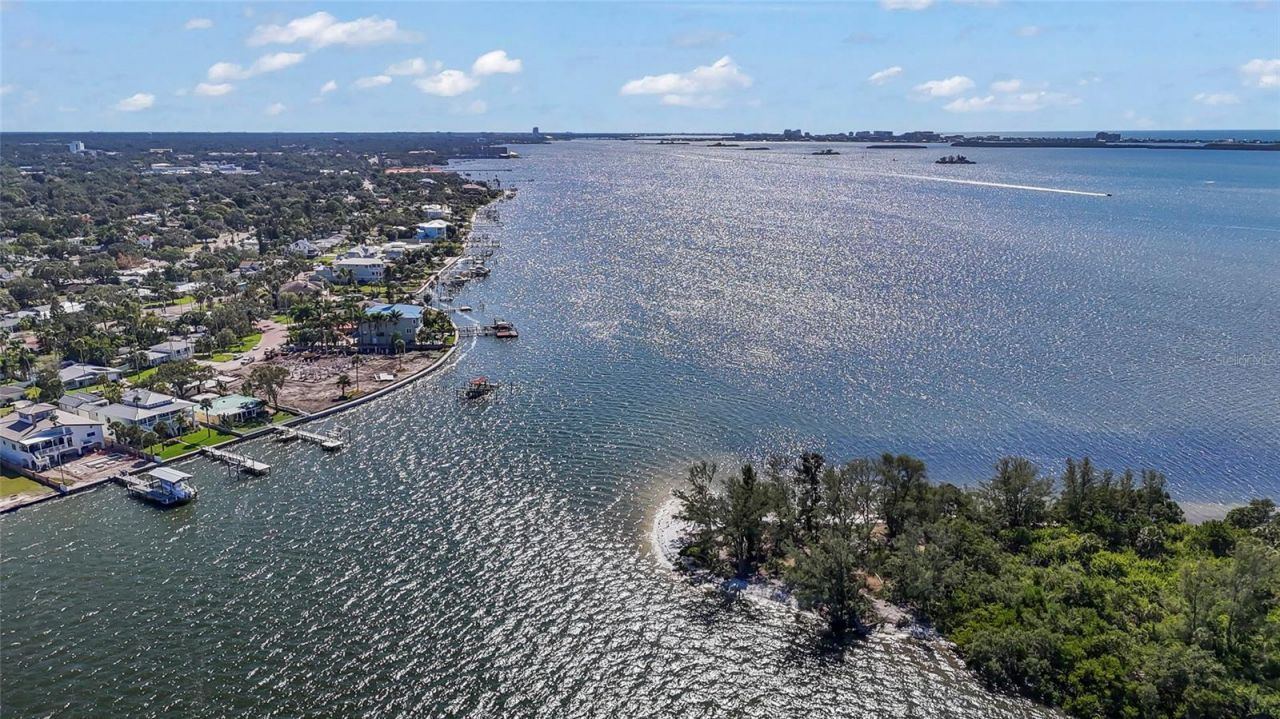 115 Buena Vista Drive S, Dunedin, FL 34698 Photo