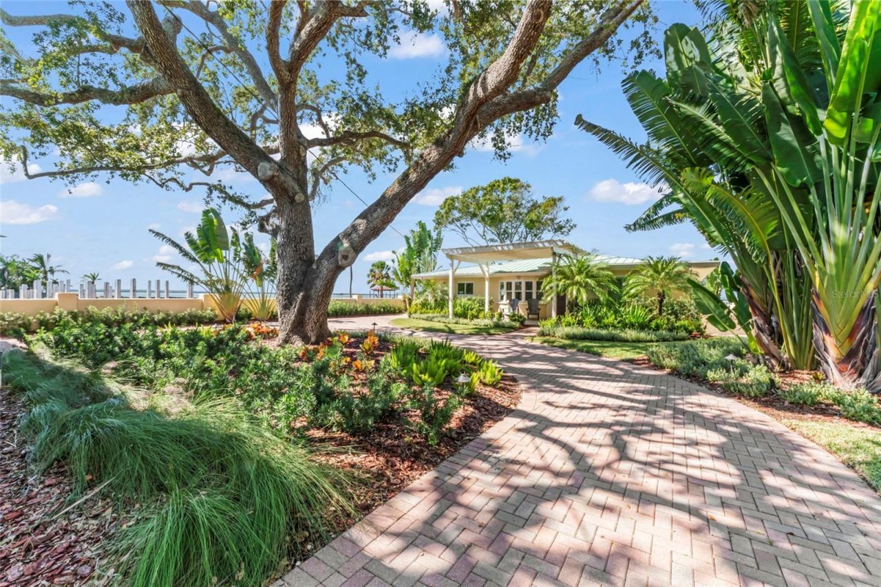 115 Buena Vista Drive S, Dunedin, FL 34698 Photo