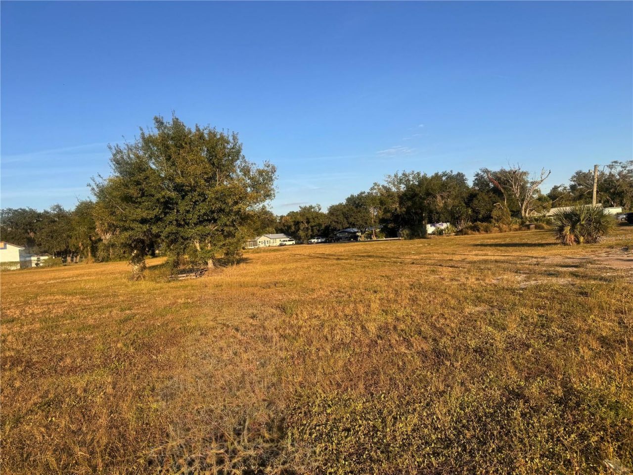 245 S Brevard Avenue, Arcadia, FL 34266 Photo