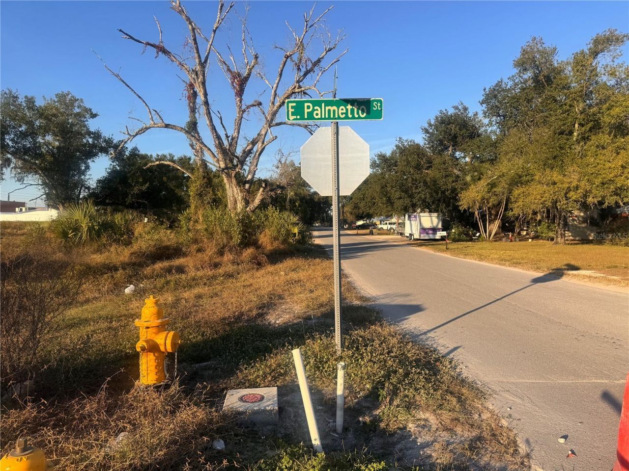 245 S Brevard Avenue, Arcadia, FL 34266 Photo