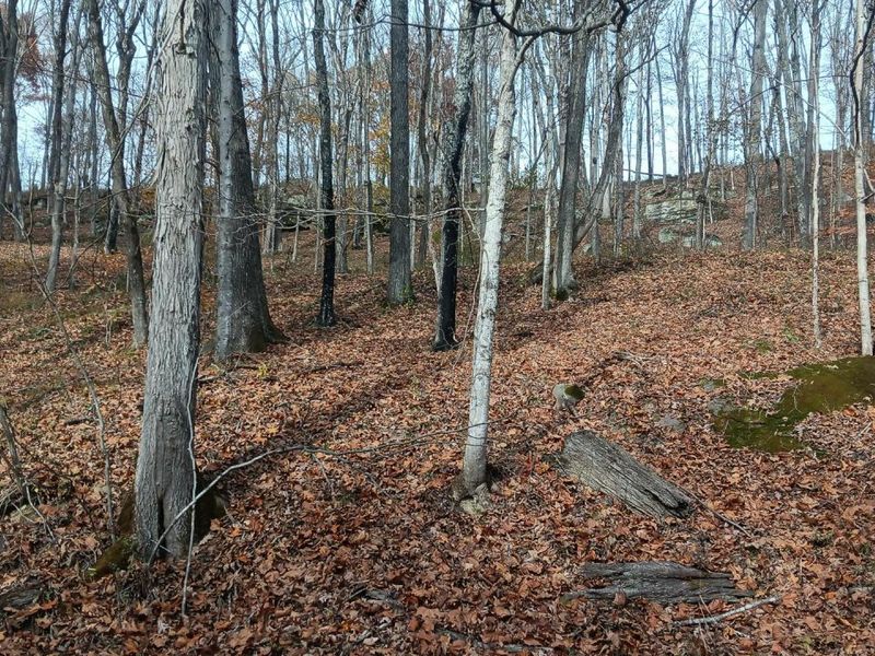 0 Keystone Road , Unit (Racoon Cr, Vinton, OH 45686 Photo 11