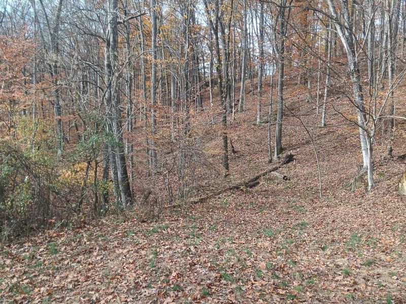 0 Keystone Road , Unit (Racoon Cr, Vinton, OH 45686 Photo 20