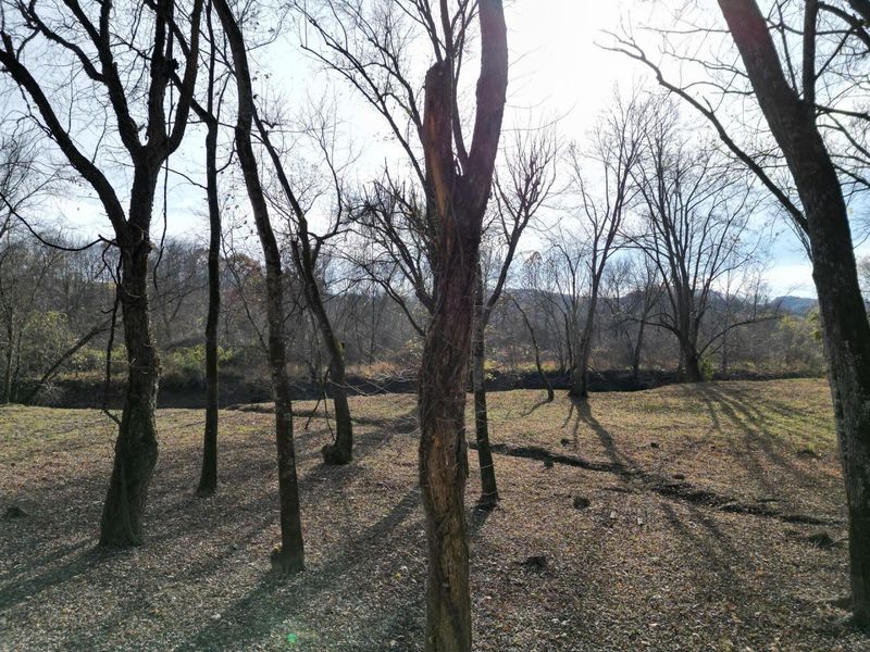 0 Keystone Road , Unit (Racoon Cr, Vinton, OH 45686 Photo 51