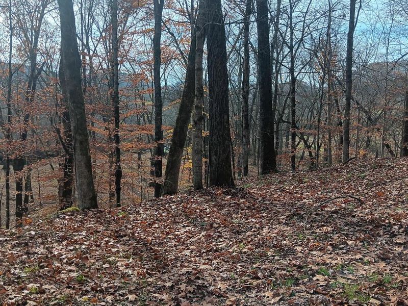 0 Keystone Road , Unit (Racoon Cr, Vinton, OH 45686 Photo 53