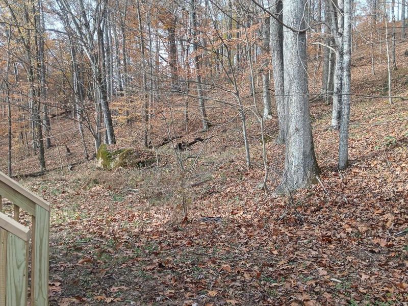 0 Keystone Road , Unit (Racoon Cr, Vinton, OH 45686 Photo 58