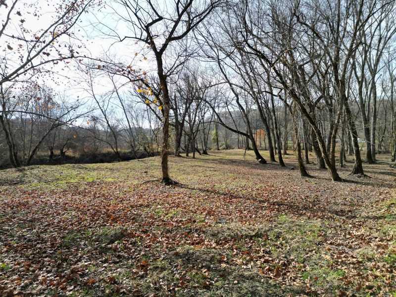 0 Keystone Road , Unit (Racoon Cr, Vinton, OH 45686 Photo 6