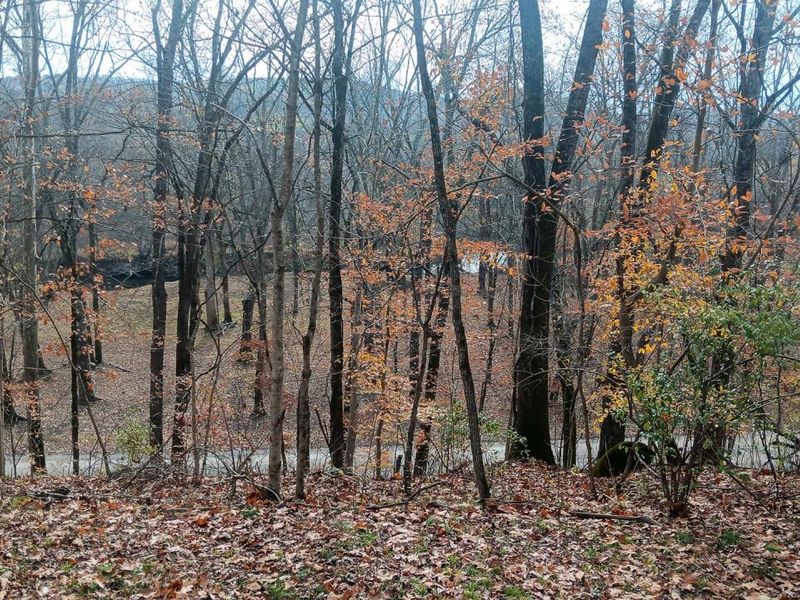 0 Keystone Road , Unit (Racoon Cr, Vinton, OH 45686 Photo 65