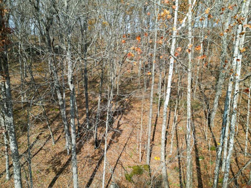 0 Keystone Road , Unit (Racoon Cr, Vinton, OH 45686 Photo 74