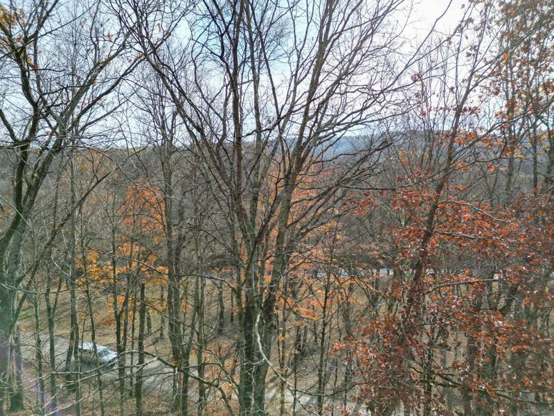 0 Keystone Road , Unit (Racoon Cr, Vinton, OH 45686 Photo 77