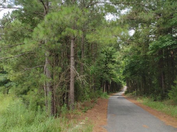 5 Gap Weekley Road, Perdido, AL 36562