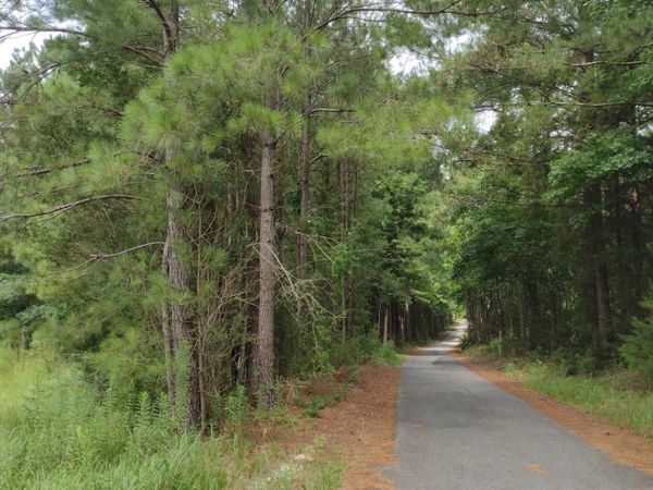 5 Gap Weekley Road, Perdido, AL 36562