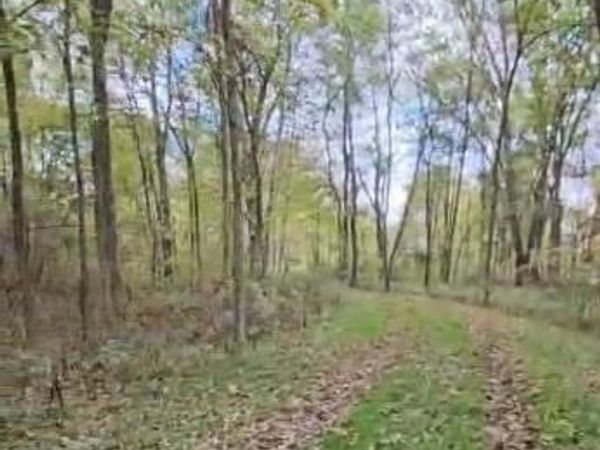 37 Risch Road, Webberville Vlg, MI 48892